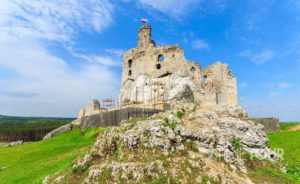 Wycieczka szkolna na Jurę - Zamek Mirów