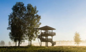 Wycieczka szkolna do Białowieskiego Parku Narodowego